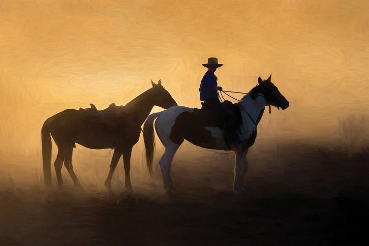 Hombre Montando en Caballo Blanco Pintar por Números