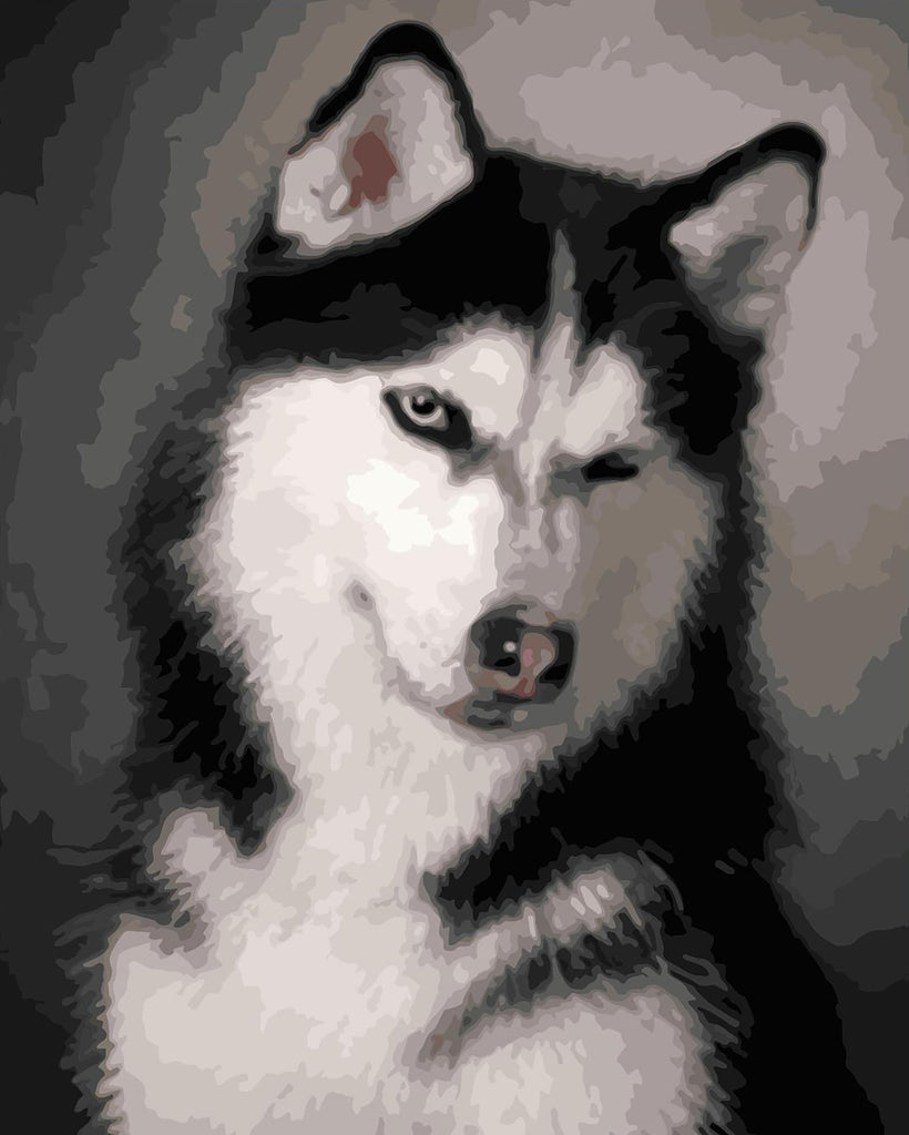 Husky con Sonrisa Pintar por Números