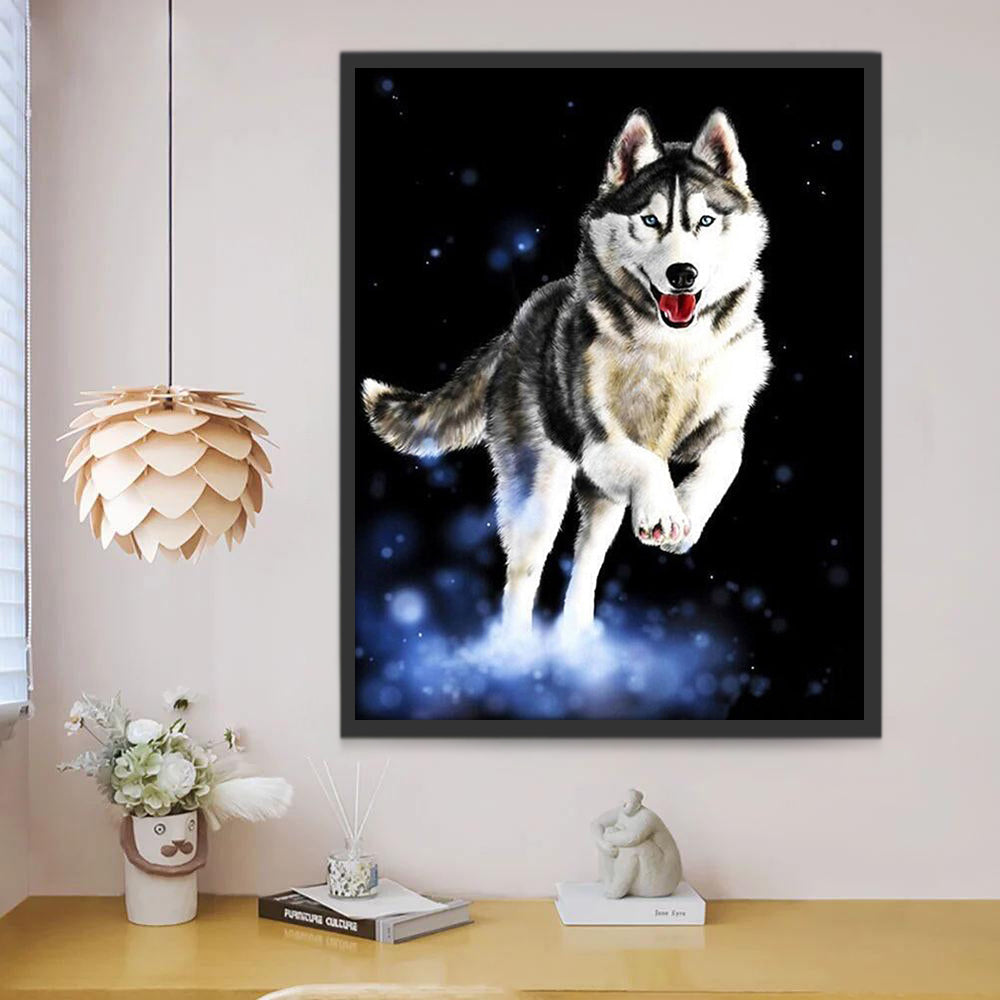 Husky en la Noche Pintar por Números