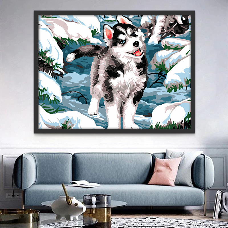 Husky en Tierra Nevada Pintar por Números