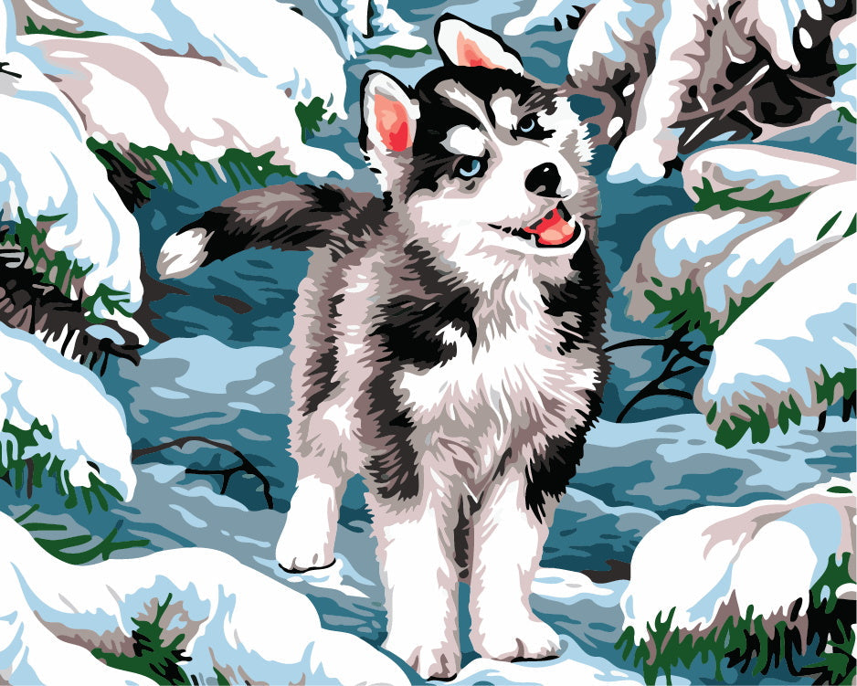 Husky en Tierra Nevada Pintar por Números