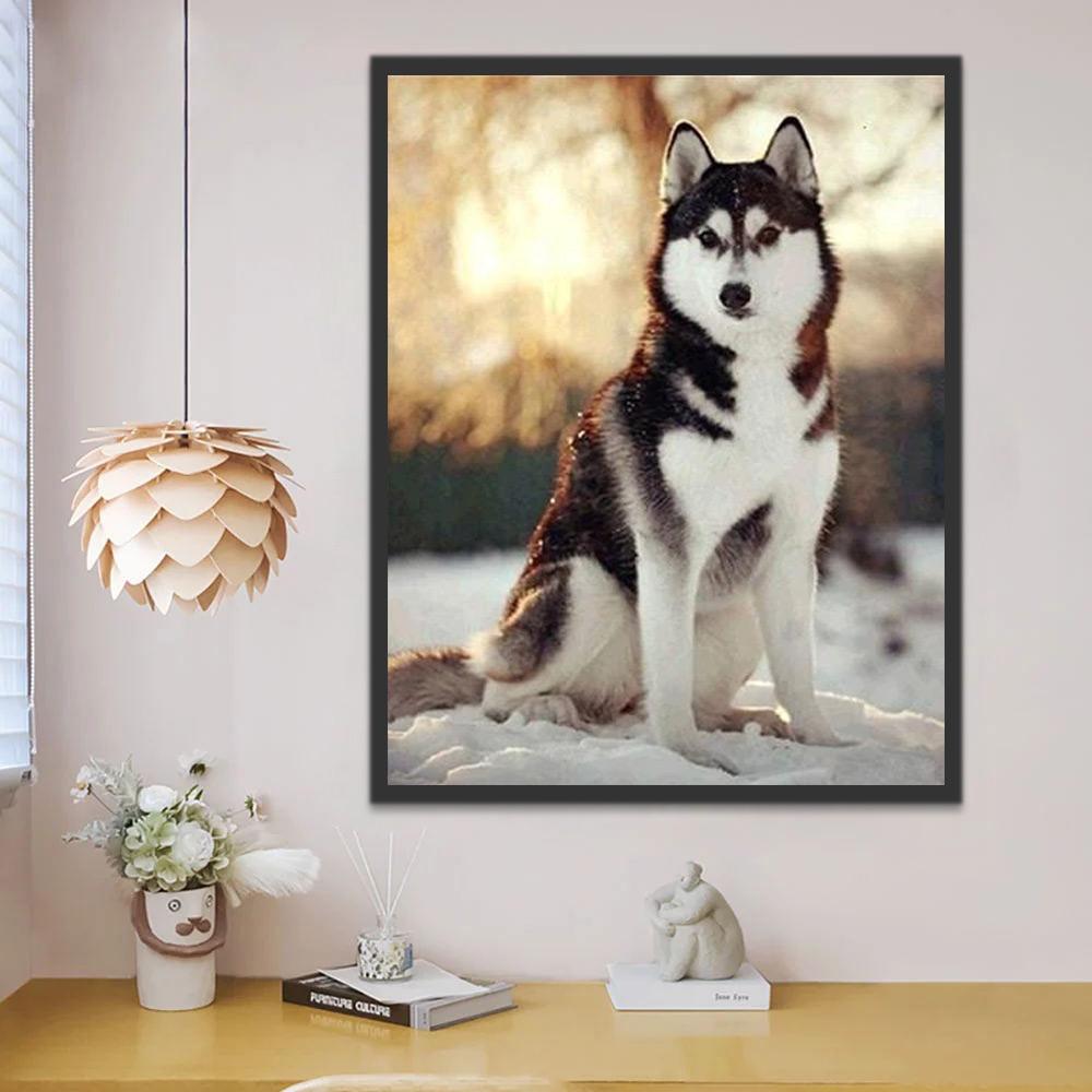 Husky Sentado en la Tierra Nevada Pintar por Números