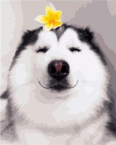 Husky y una Flor Amarilla Pintar por Números