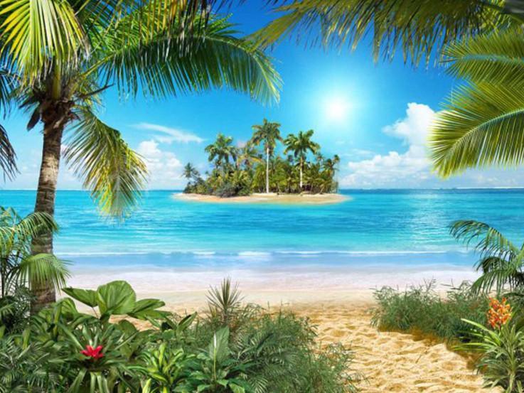 Isla con Palmeras y Plantas Tropicales Pintar por Números
