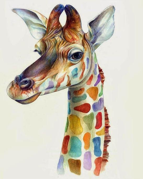 Jirafa con Patrón de Colores de Arcoíris Pintar por Números
