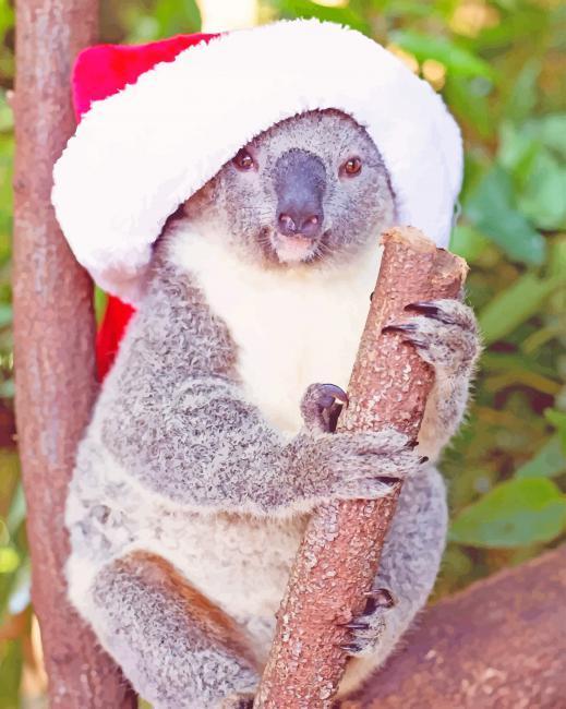 Koala con Gorro de Navidad Pintar por Números