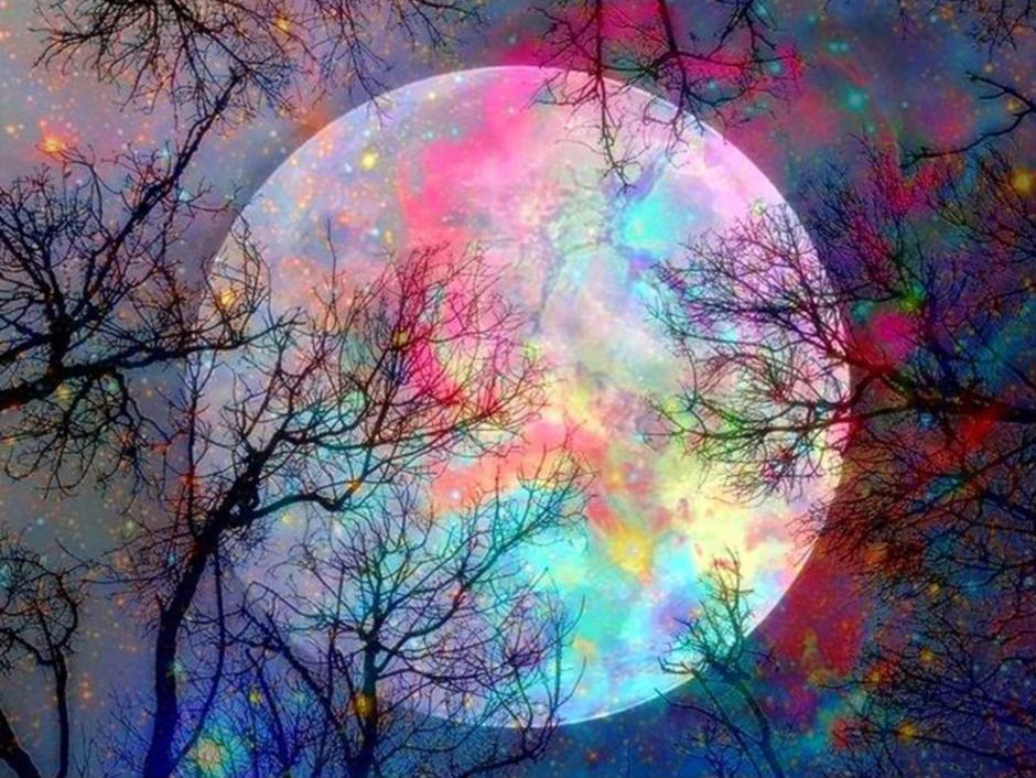 La Luna Llena y Silueta de Árboles Pintar por Números
