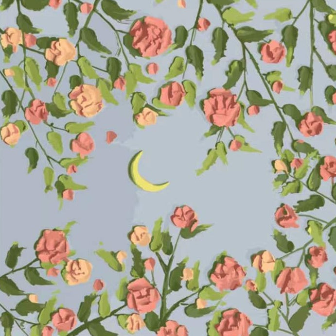 La Luna Rodeada de Ramas de Flores Rosadas Pintar por Números
