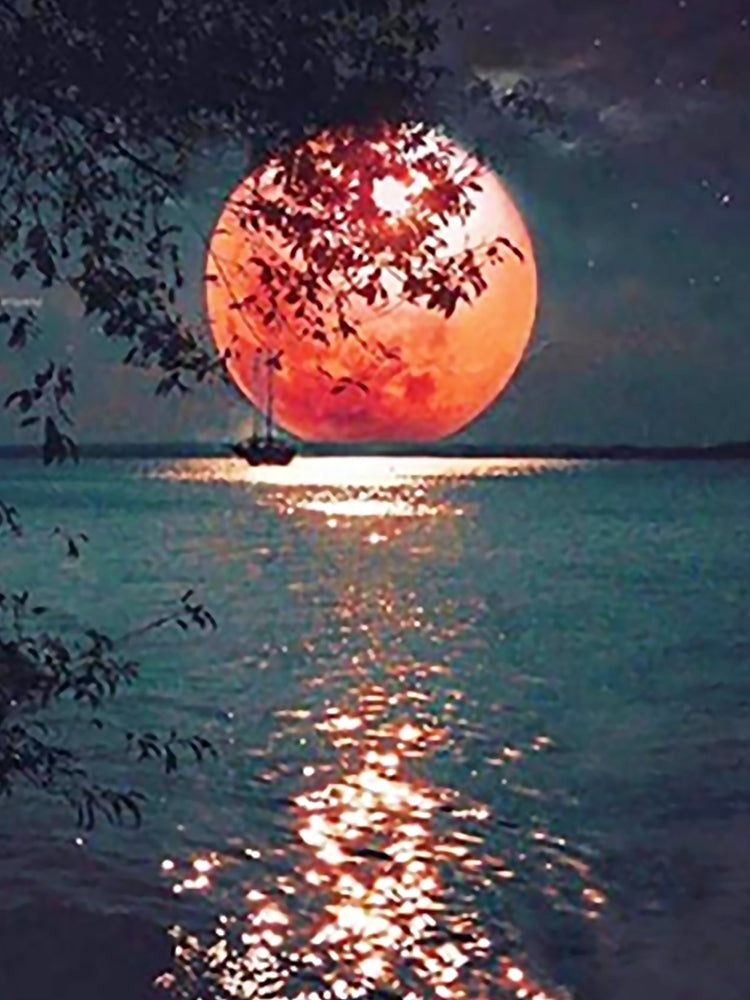 La Luna y Silueta de Árbol sobre el Mar Pintar por Números