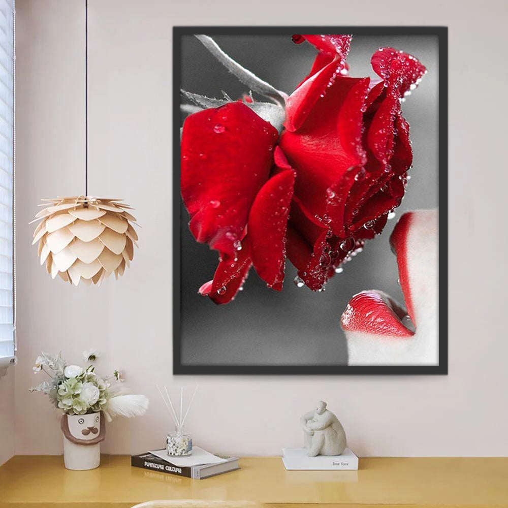 Labios Rojos y Rosa Roja con Gotas de Agua Pintar por Números