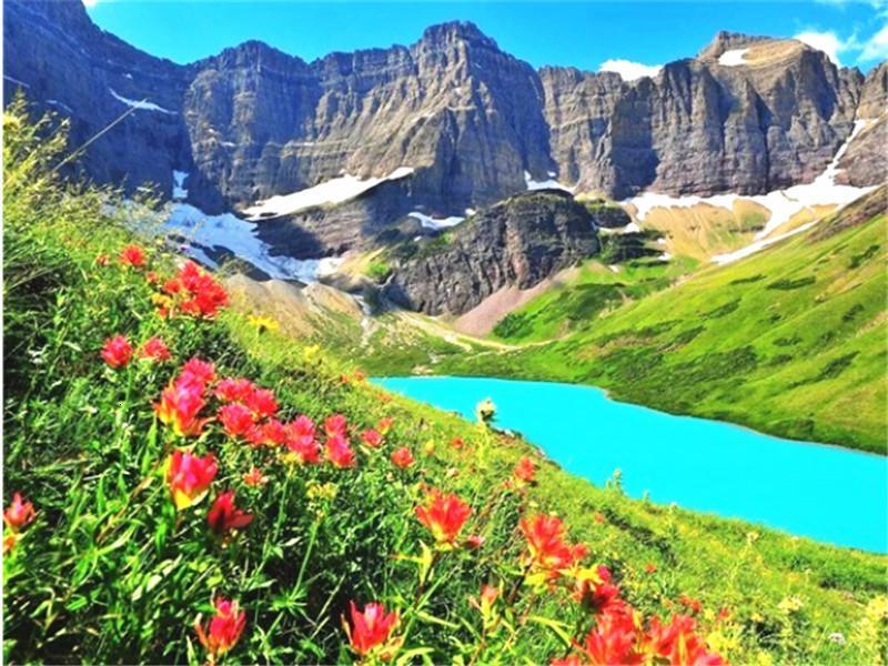 Ladera con Flores Rojas y Río Azul Pintar por Números