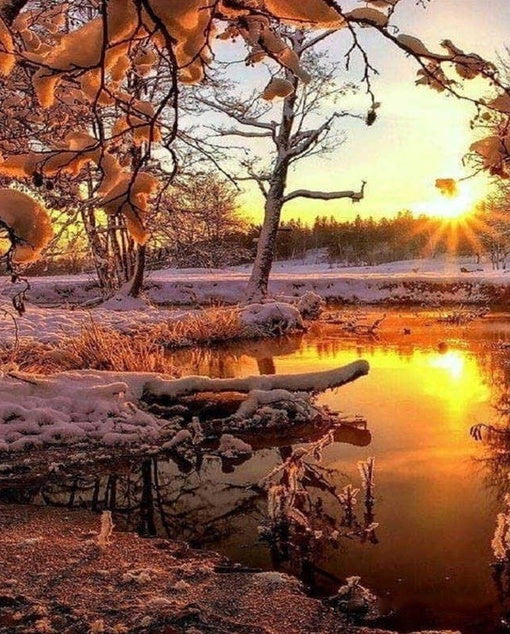 Lago y Bosque Invernal al Atardecer Pintar por Números