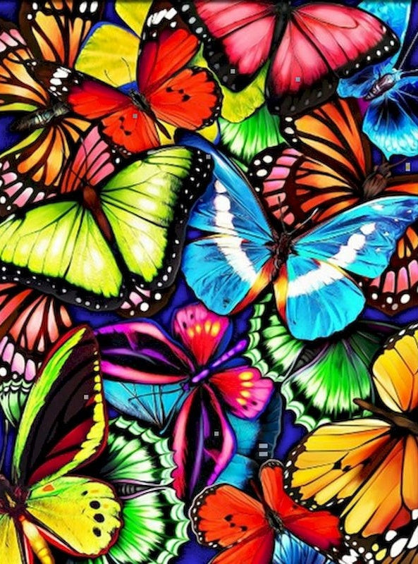 Las Mariposas Hermosas Pintar por Números