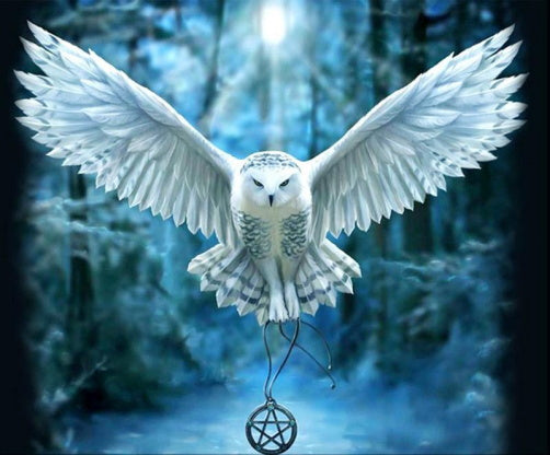 Lechuza Blanca Volando Pintar por Números