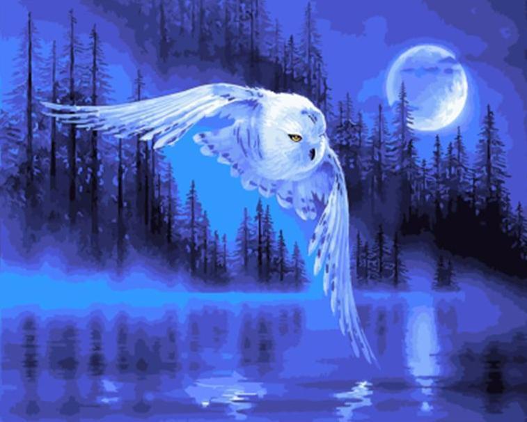 Lechuza Volando en la Noche Pintar por Números