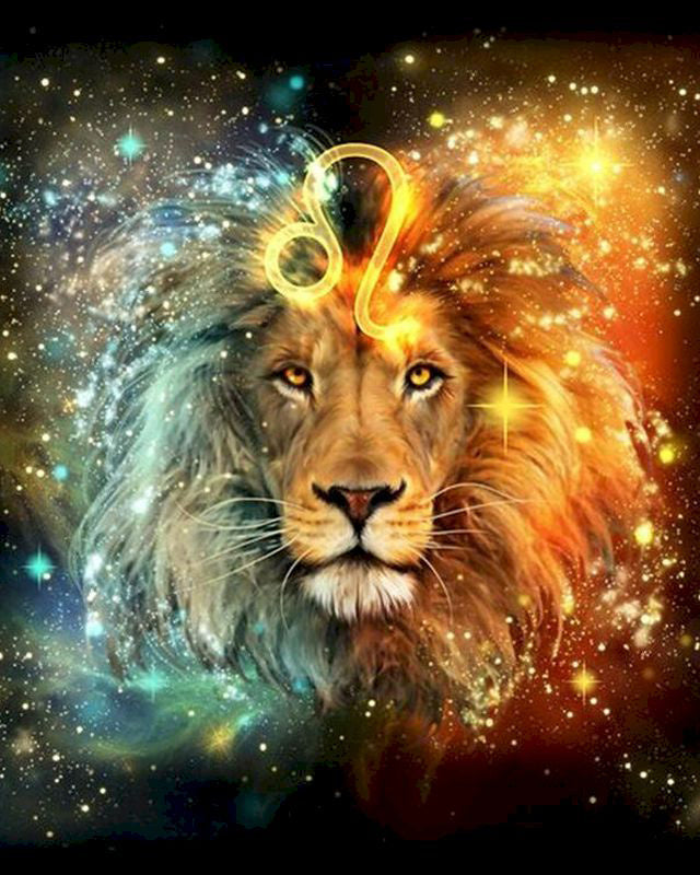 Leo y León con Melena de Dos Colores Pintar por Números