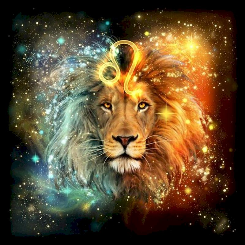 Leo y León con Melena de Dos Colores Pintar por Números