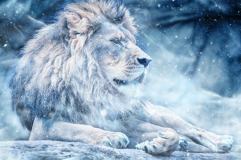 León Azul en el Invierno Pintar por Números