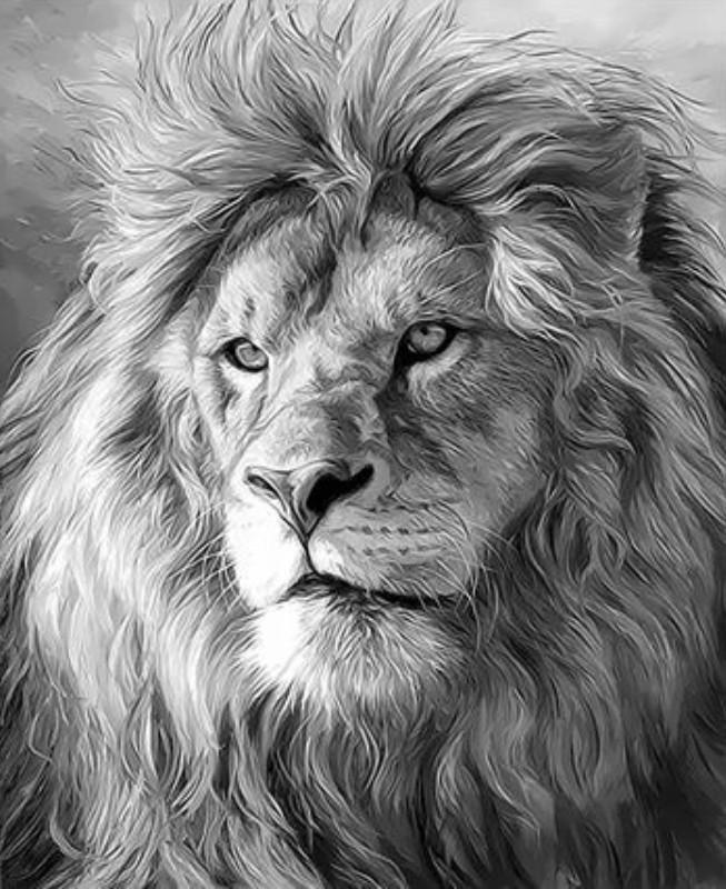León en Blanco y Negro Pintar por Números