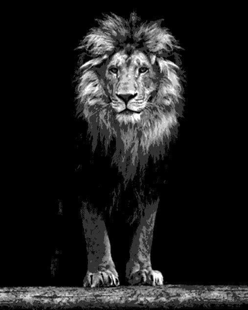 León en la Oscuridad Pintar por Números