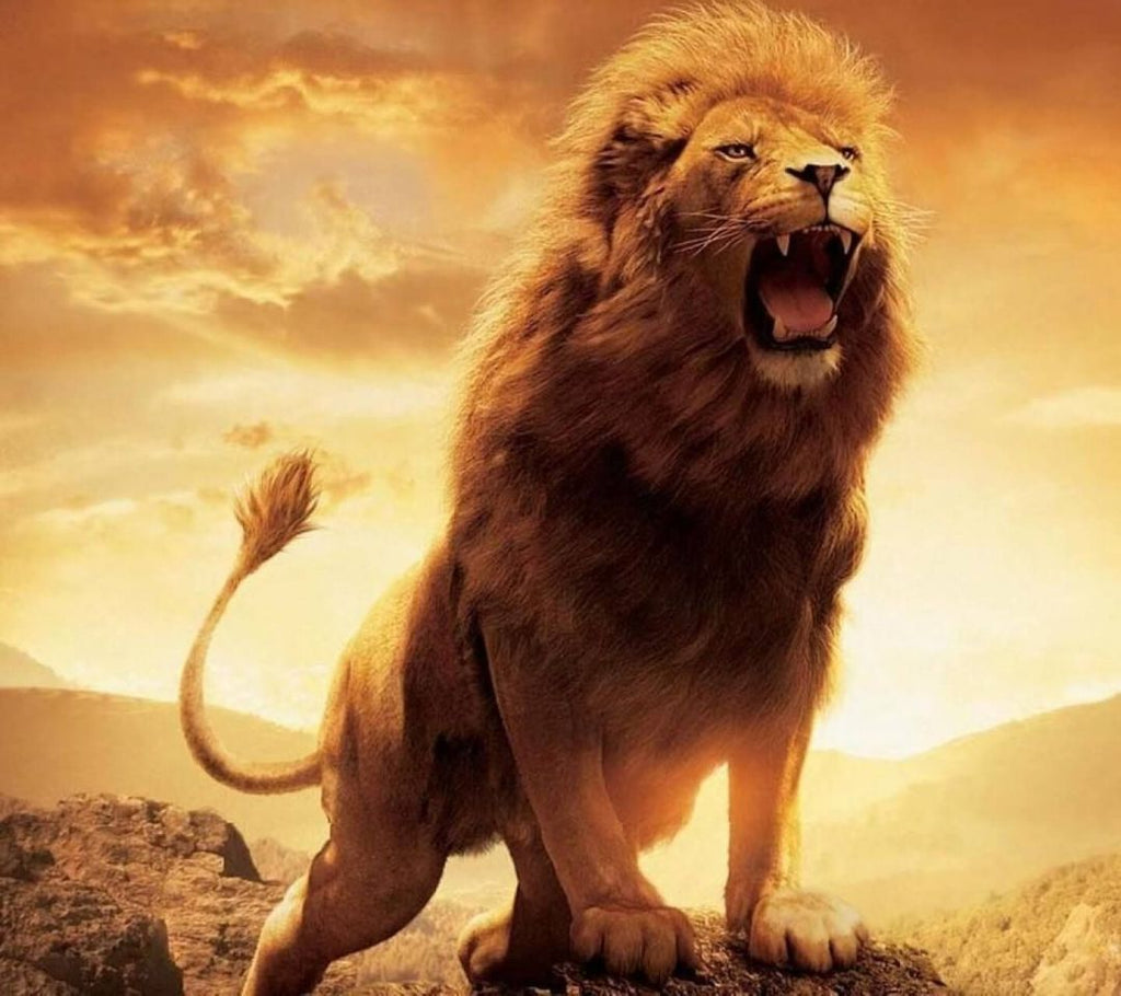 León Rugiendo al Atardecer Pintar por Números