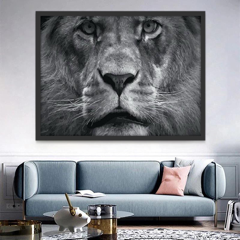 León Salvaje en Blanco y Negro Pintar por Números