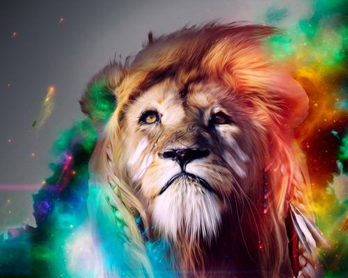 León y Fondo Estrellado Pintar por Números