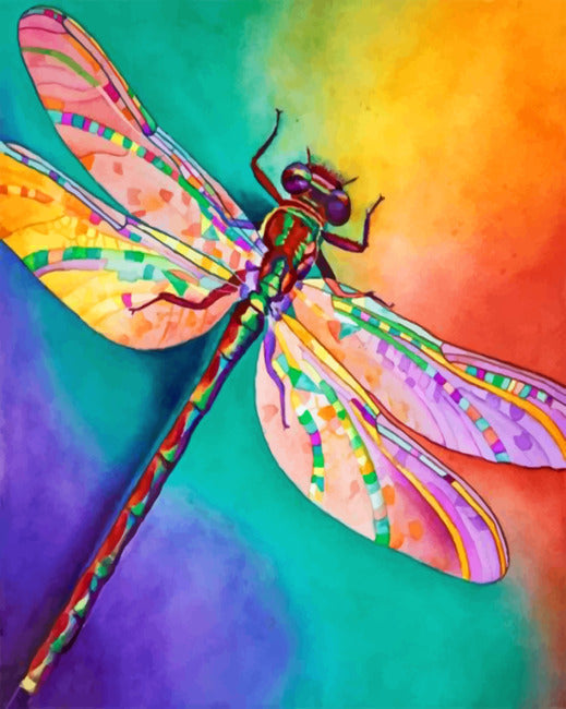 Libélula Colorida con Fondo de Arco Iris Pintar por Números
