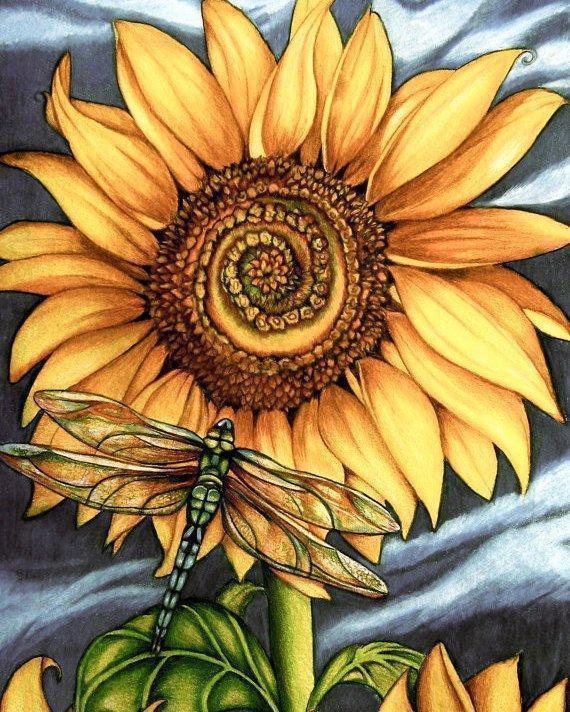 Libélula y Girasol con Fondo Gris y Azul Claro Pintar por Números