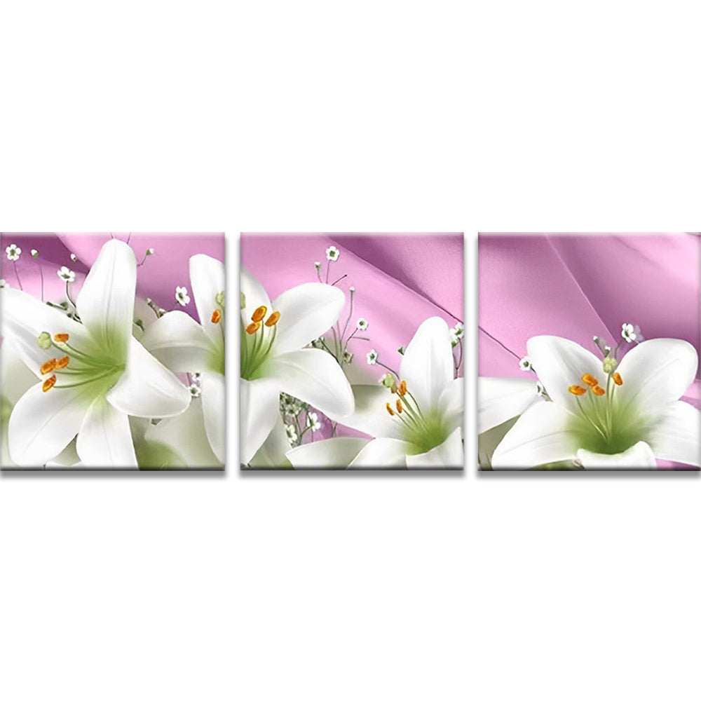 Diente de León de Color Blanco en el Fondo Azul Pintar por Números