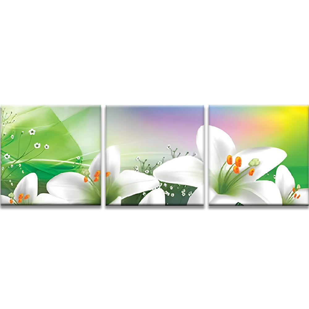 Lirios Blancos en el Fondo Verde 3 Partes Pintar por Números