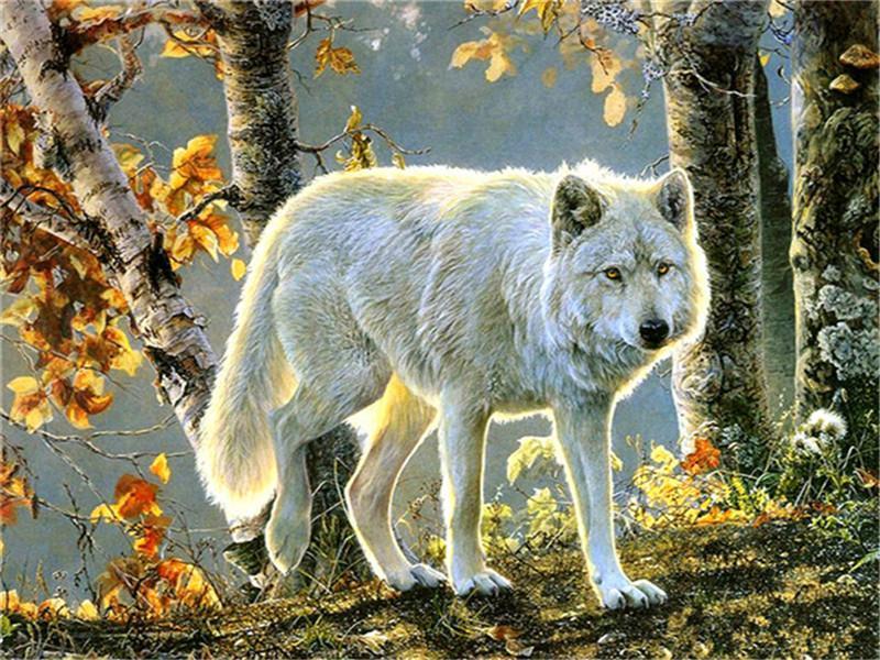 Lobo Blanco en los Árboles de Otoño Pintar por Números