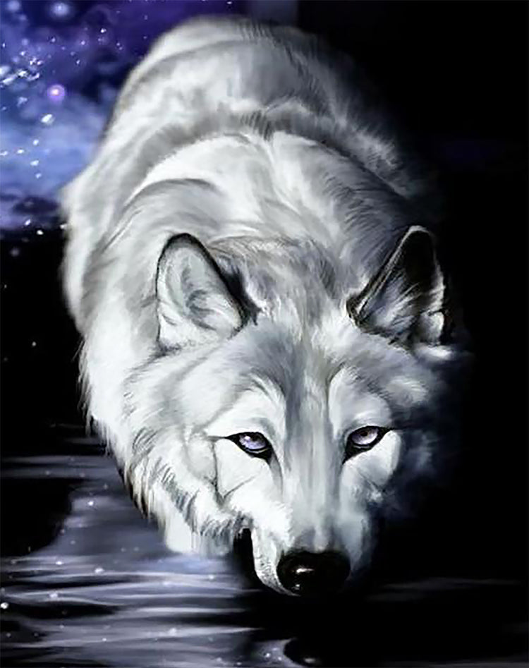 Lobo Blanco y Cielo de Noche Pintar por Números