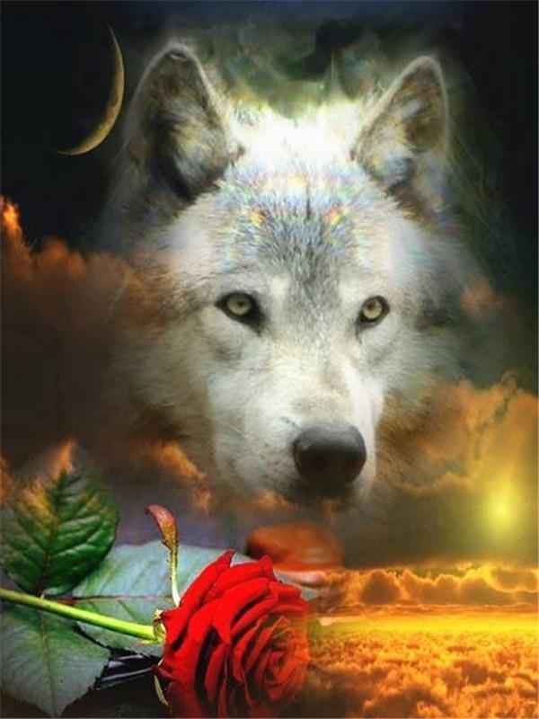 Lobo Blanco y Rosa Roja Pintar por Números