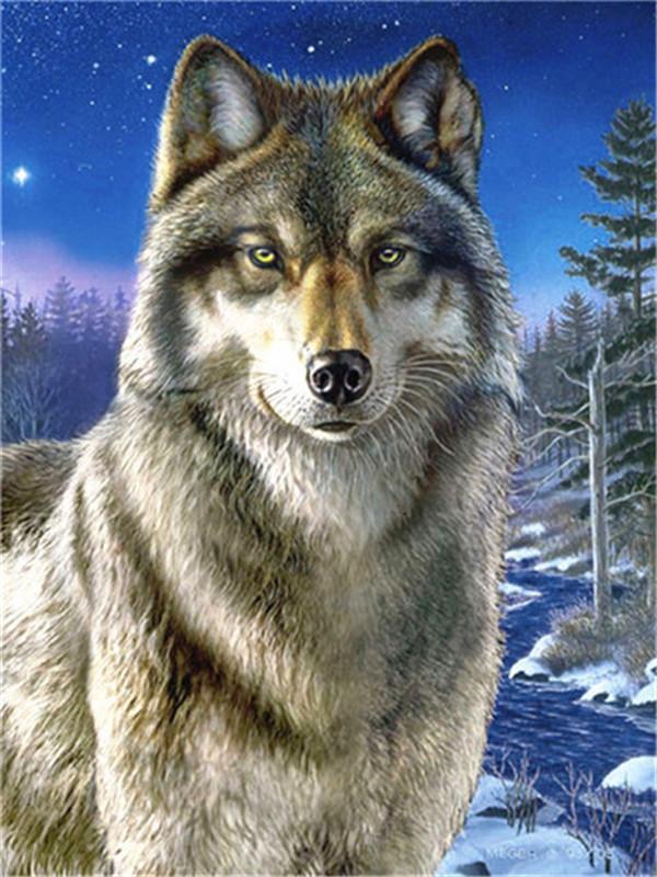 Lobo con Fondo de Bosque y Cielo de Noche Pintar por Números