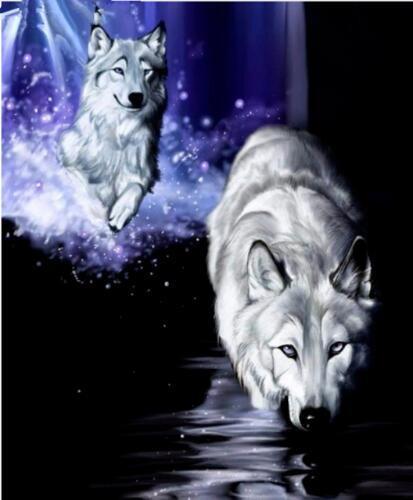 Lobo desde Oscuridad y Lobo con Fondo Morado Pintar por Números