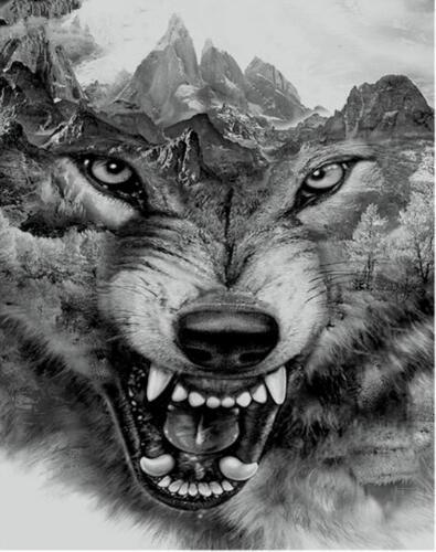 Lobo en Blanco y Negro Rugiendo Pintar por Números
