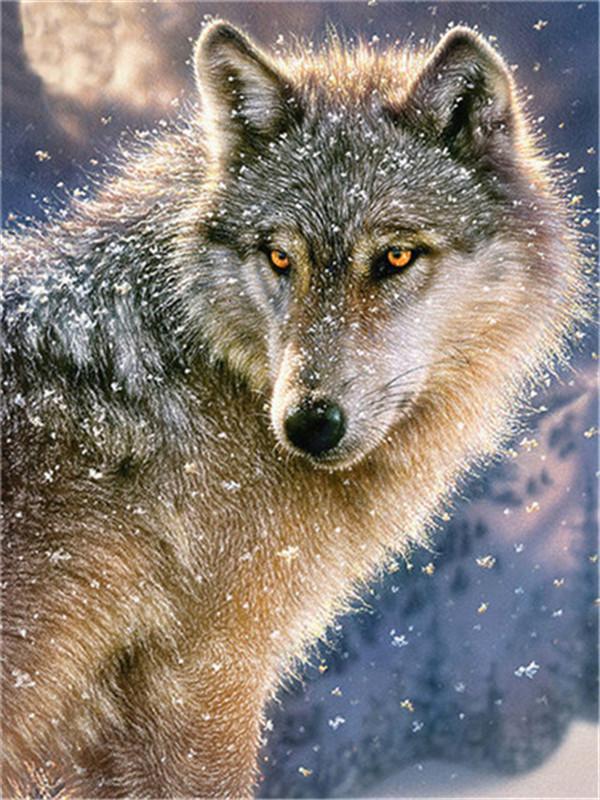 Lobo en la Nieve con Fondo de Montaña Nevada Pintar por Números