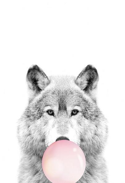 Lobo Gris con Burbuja Rosada de Chicle Pintar por Números