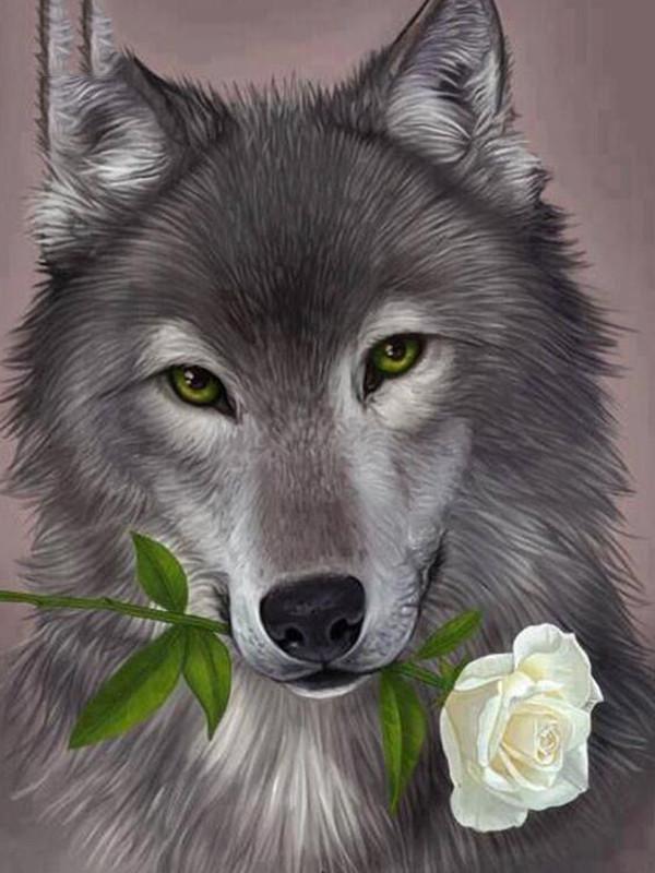 Lobo Gris con Rosa Blanca en Su Boca Pintar por Números