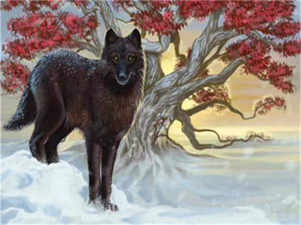 Lobo Negro y Árbol de Hojas Rojas en la Nieve Pintar por Números