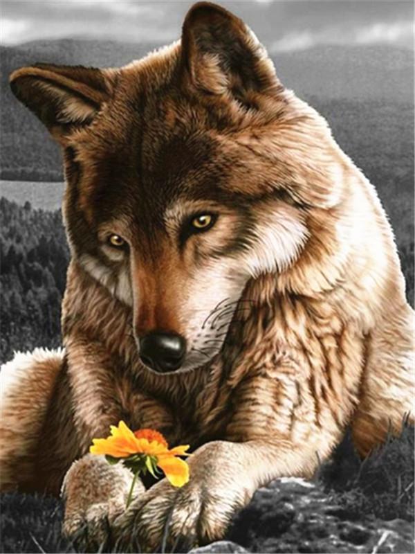 Lobo Observando Flor Amarilla en Su Garra Pintar por Números