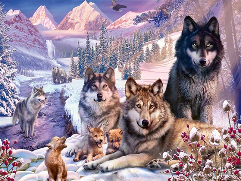 Lobos al Lado de Arroyo de Bosque entre Montañas Pintar por Números