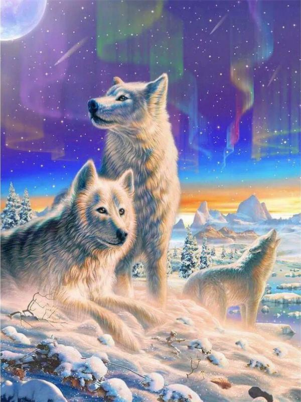 Lobos Blancos en la Nieve y Cielo Colorido de Noche Pintar por Números