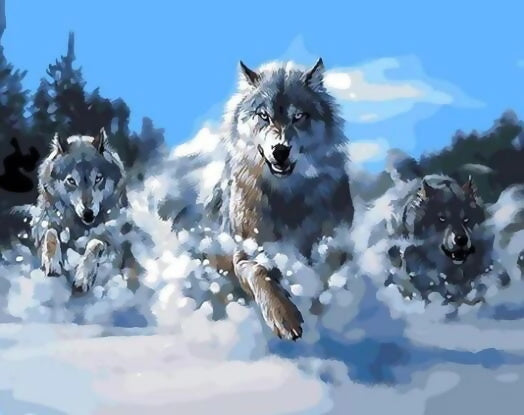 Lobos Corriendo en la Nieve Pintar por Números