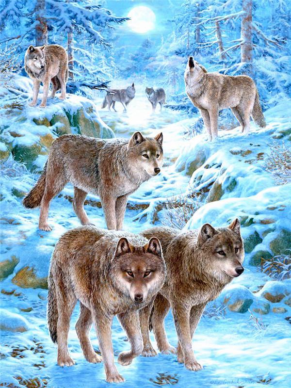 Lobos en Bosque de Invierno Pintar por Números