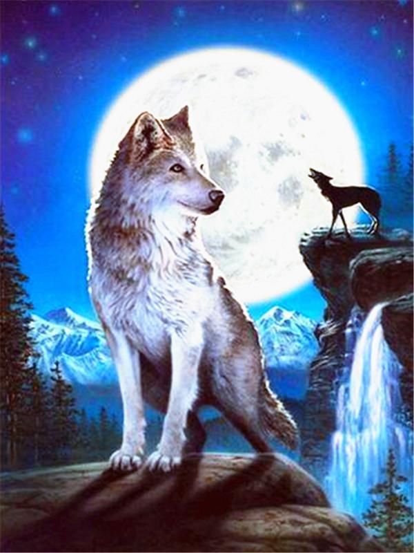 Lobos sobre Roca y Precipicio en la Noche Pintar por Números