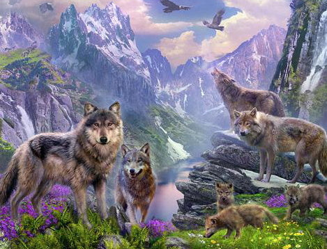 Lobos y Águilas en Bosque de Montaña Pintar por Números