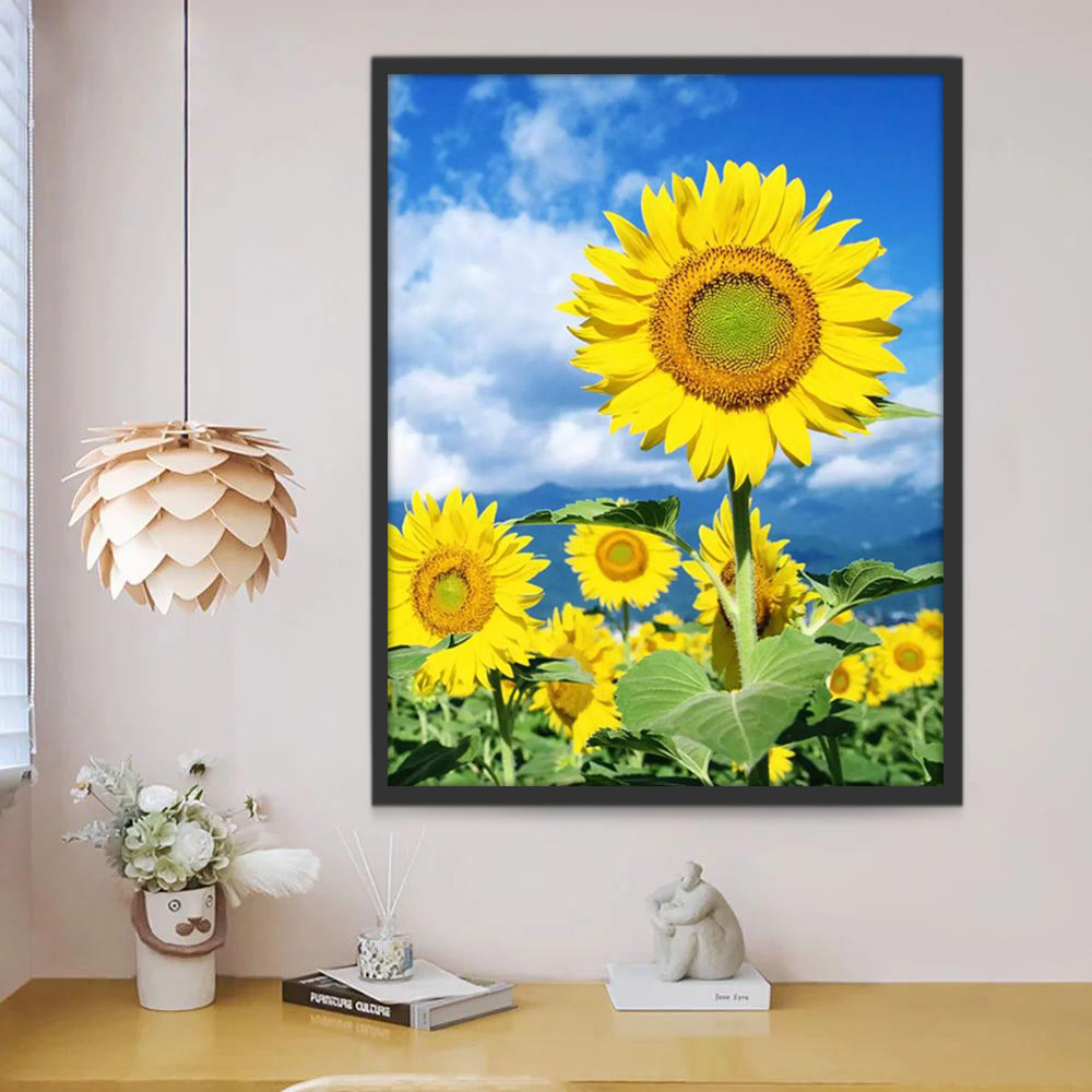Los Girasoles y Cielo Azul con Nubes Blancas Pintar por Números
