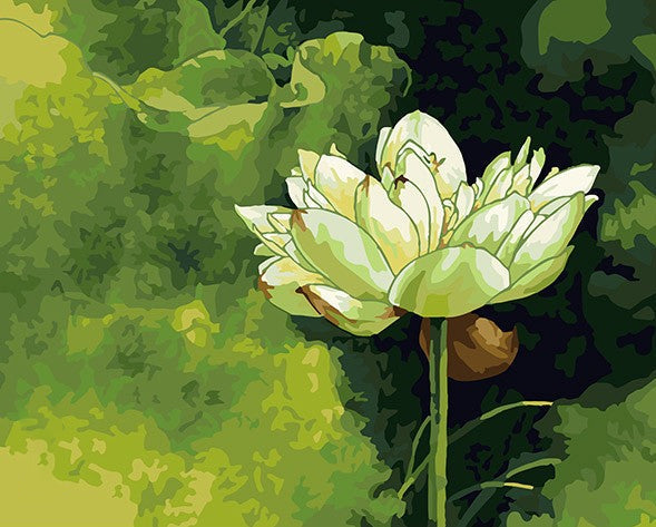 Loto Blanco Elegante con Fondo de Color Verde Pintar por Números